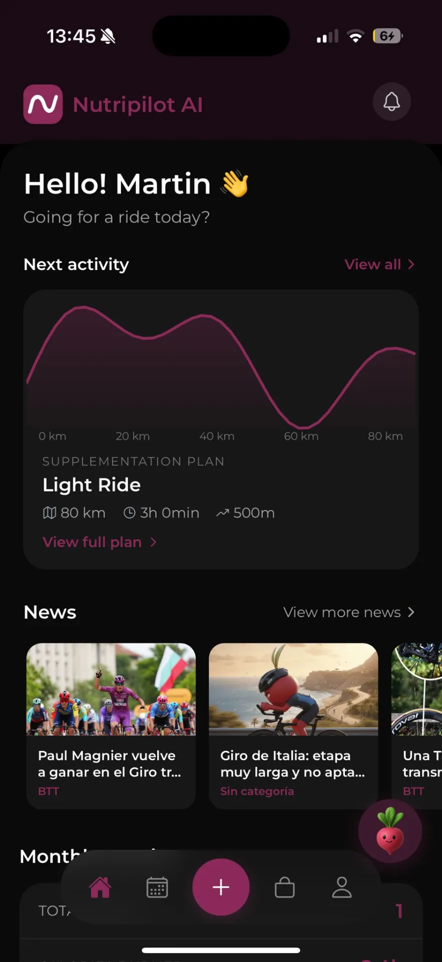 Pantalla de la app: dashboard de rendimiento
